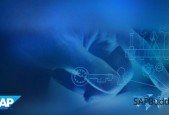 SAP Security Administration