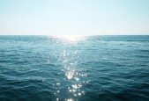 Build A TodoList with Spring Boot, Kotlin and React Native