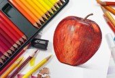 Realistic Drawings With Colored Pencils- A Beginner Guide