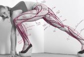 Anatomy 2.0 Draw the Figure From Imagination