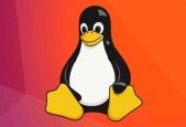 Master BASH Commands From Zero to Hero in Shell Scripting