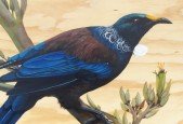 Paint a realistic bird using acrylics
