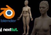 Female Anatomy Sculpting in Blender Course