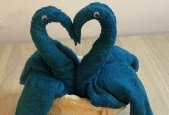 The art of towel folding from Beginner to Expert