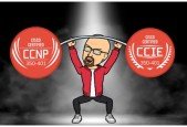 CCNPCCIE (350-401) ENCORE- SIGNATURE COURSE!