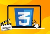 CSS Basics, CSS beginner