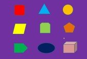 Java Object Oriented Programming ( OOPS ) for Developers