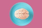 Get to know your brain!