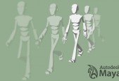 3D Character Walk Cycle Animation with Maya for Beginners
