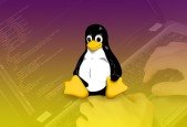 PHP Shell Scripting for LinuxUnix Administrators