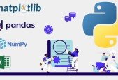 Certificate Program in Python Programming