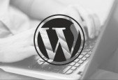 How To Build An Online Business Using WordPress