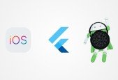 Learn Flutter Beginners Course