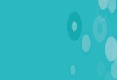 Web Development Guide (4-Course Bundle)
