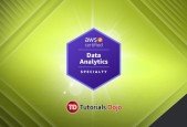 AWS Certified Data Analytics Specialty Practice Exams