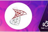 Microsoft SQL Server Failover Cluster
