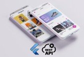Flutter 3.0 Rest API from scratch, build a mini Store app
