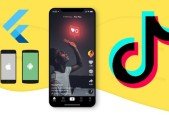 Flutter MVC Architecture Video Hosting TikTok App Clone 2024
