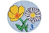 Montessori, Course Three ~ Sensorial