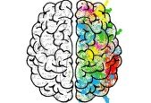 Data Storytelling Art to Science