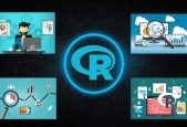 Basics of R Programming Language for Buddies
