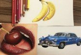 Realistic Drawing- Colored Pencil Drawing Art Course