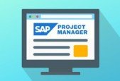 SAP Activate Project Manager BIGGEST SET- p.2