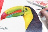 TOUCAN Paint Realistic Watercolour and BIRDS