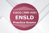 Cisco 300-420 ENSLD Enterprise Practice Exams