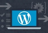Learn WordPress Building Websites Step By Step