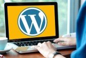 Easily Build A WordPress Website Avada Theme