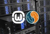 WAMP + MySql = Awesome