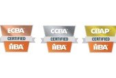 BABOK v3 Knowledge Area Practice Tests for ECBA, CCBA, CBAP