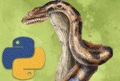 Learn Python and Become Professional Python Developer