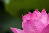 SAP Fiori Simplified- For ABAPers