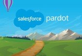 Master Pardot Lightning in 5 hours