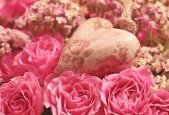 Accredited Aromatherapy Course 2 -For Health and Wellbeing