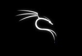 Everything About Kali Linux OS