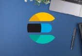 Elasticsearch Practice Test