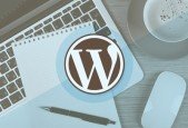Build The Ultimate Professional Website with WordPress