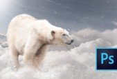 Basics of Photoshop- Photo Manipulation for Beginners
