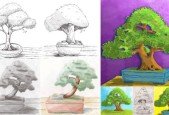 Drawing, Shading and Coloring Bonsai Trees in Procreate