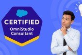 Salesforce Certified Omnistudio Consultant Exam 2023