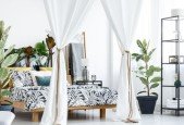 Decorating with Plants for Beginners.