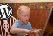Learn to Install WordPress on Domain Name Web Hosting