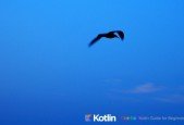 One hour Kotlin guide for beginners