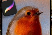 The Procreate Pastel Masterclass