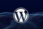 WordPress For Beginners Up To Advanced Launch WordPress