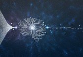 Deep Learning -The Complete Guide with CNN and ANN