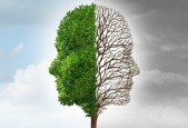 THE FROM-TO RAPID MINDSHIFT METHOD
